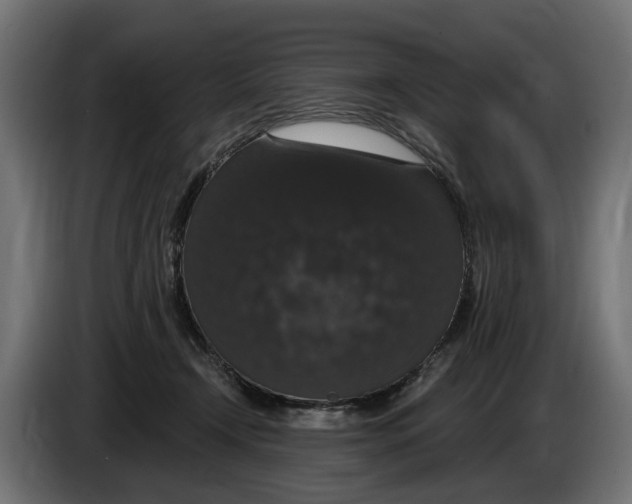 X0000083070366200703022202