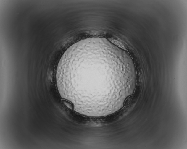 X0000083070368200703022202