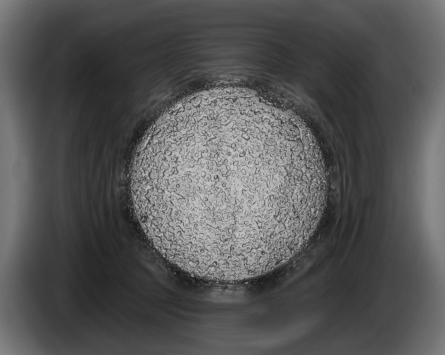 X0000083070369200703022202