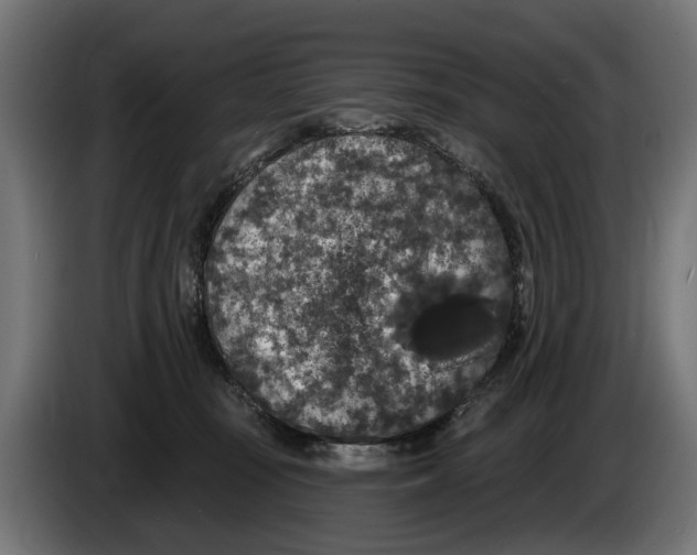 X0000083070371200703022202