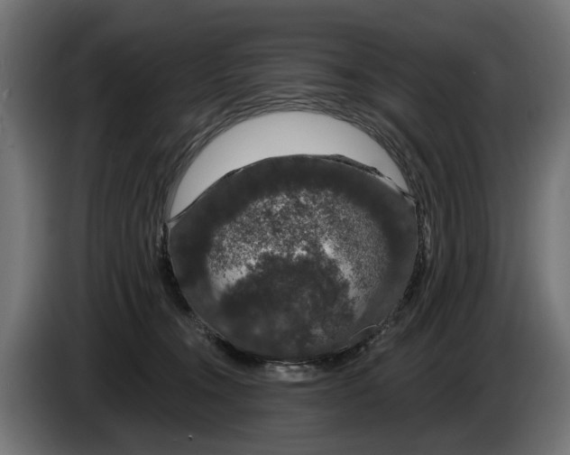 X0000083070372200703022202