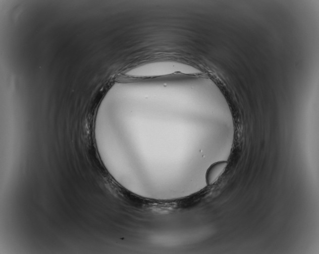 X0000083070373200703022202