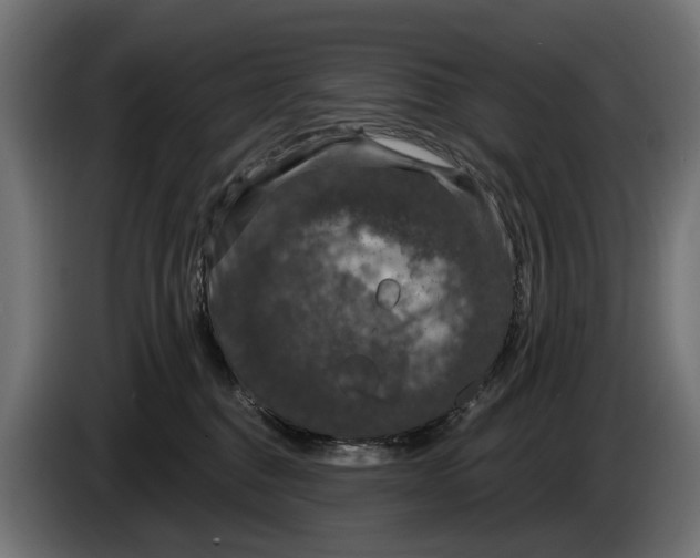 X0000083070376200703022202