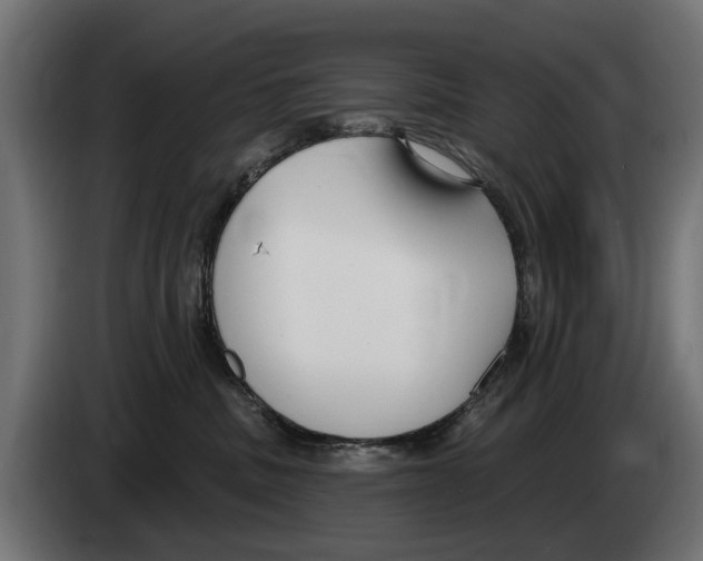 X0000083070379200703022202