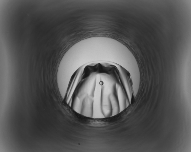 X0000083070380200703022202