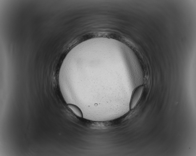 X0000083070381200703022202