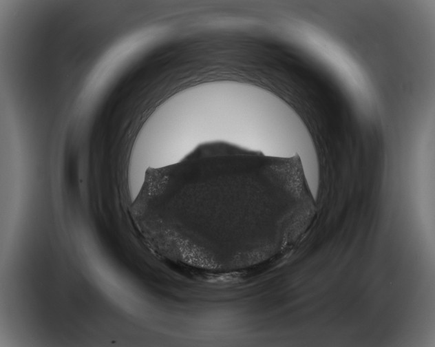 X0000083070382200703022203