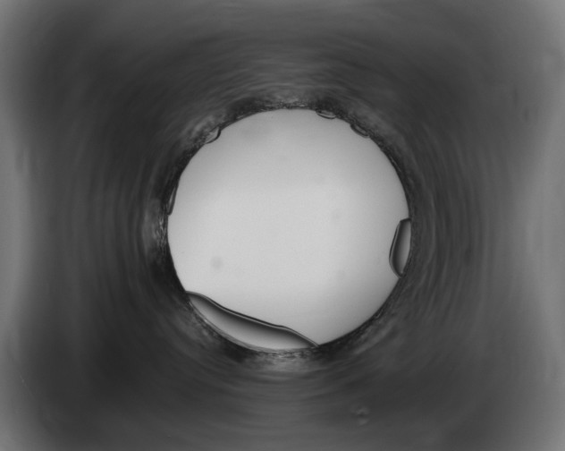 X0000083070384200703022203