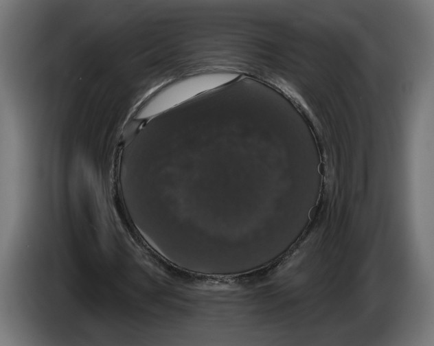 X0000083070386200703022202