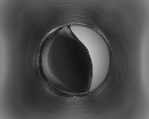 X0000083070387200703022202