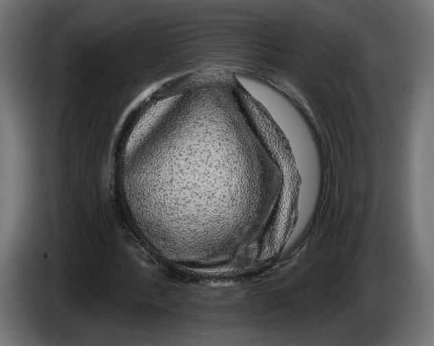 X0000083070388200703022202