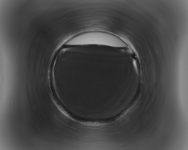 X0000083070389200703022202