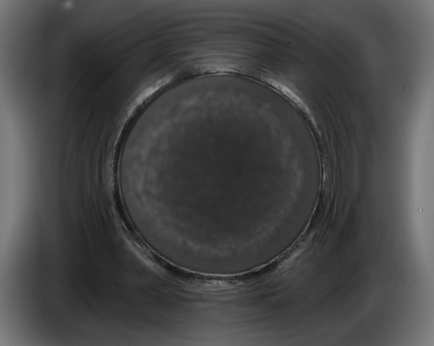 X0000083070390200703022202