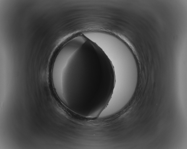 X0000083070391200703022202