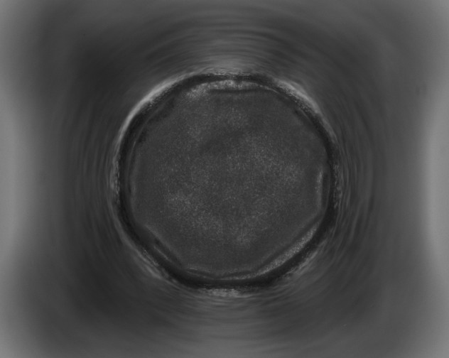 X0000083070392200703022202