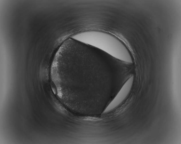 X0000083070393200703022202