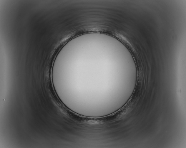 X0000083070394200703022202