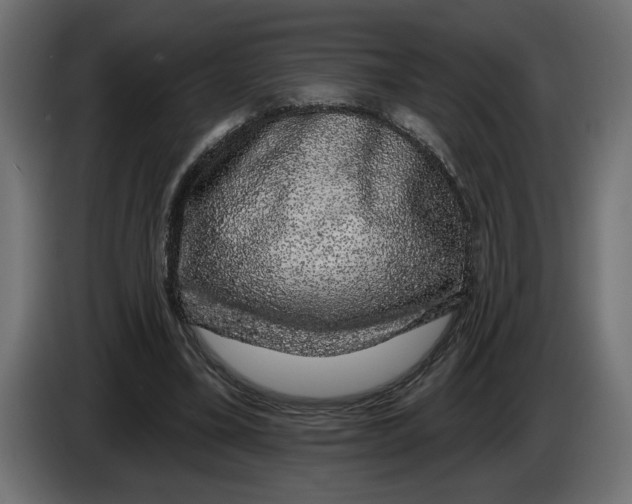 X0000083070395200703022201