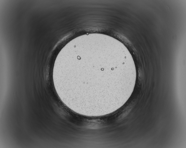 X0000083070396200703022201