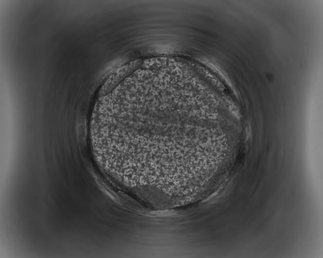 X0000083070397200703022201