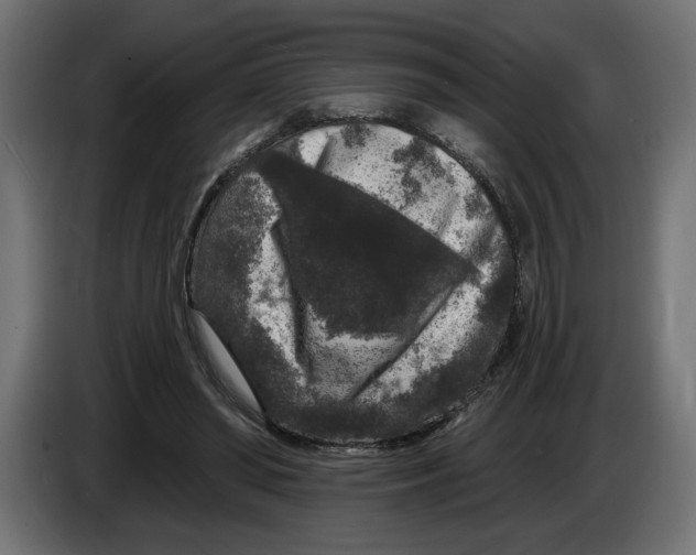 X0000083070398200703022201