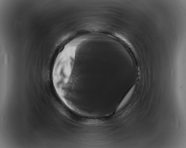 X0000083070399200703022201