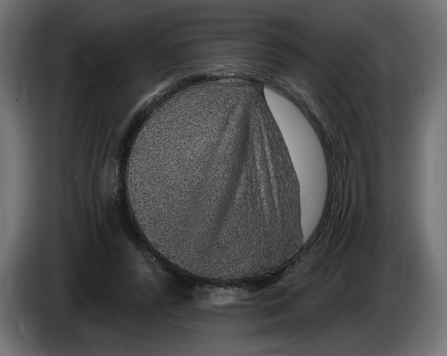 X0000083070400200703022201