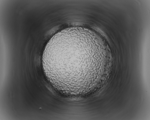 X0000083070401200703022201