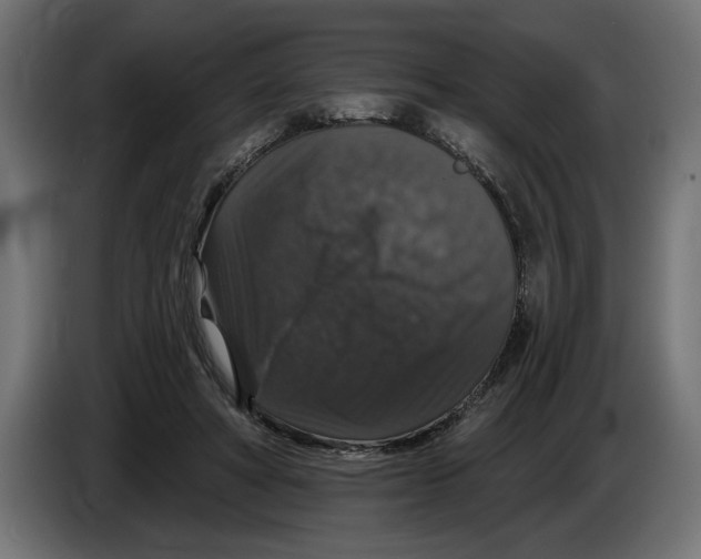 X0000083070402200703022201