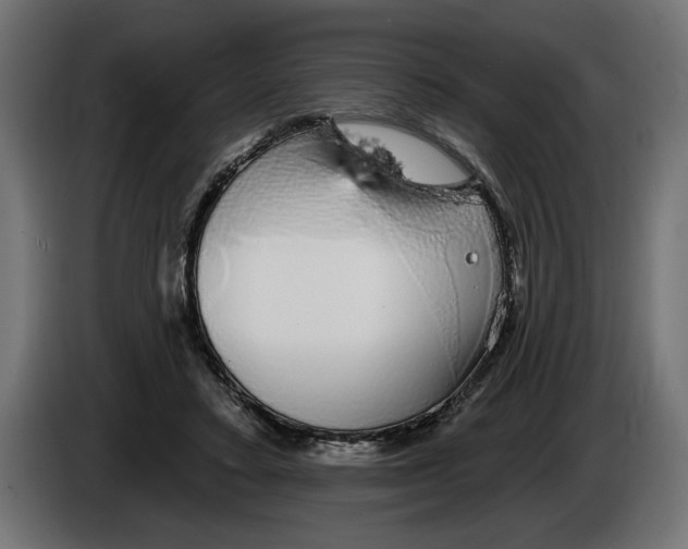 X0000083070403200703022201