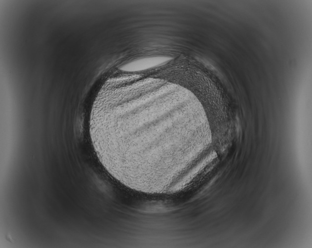 X0000083070404200703022201