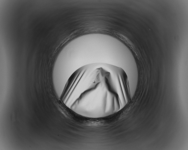 X0000083070405200703022201