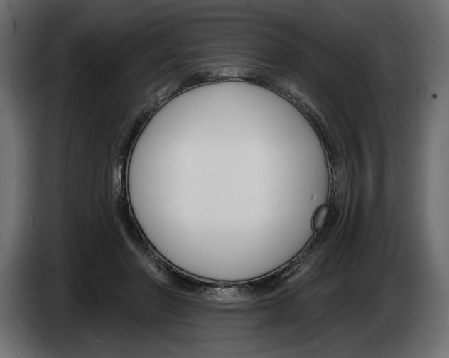 X0000083070406200703022201