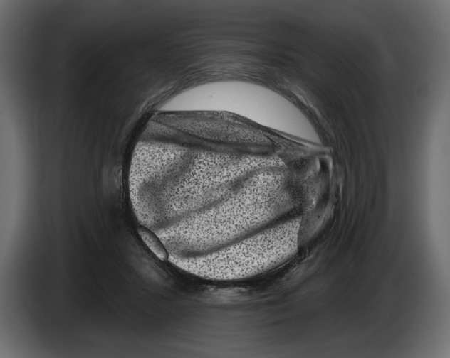 X0000083070407200703022201