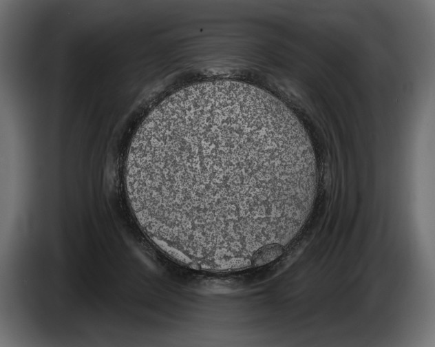 X0000083070408200703022201