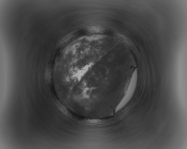 X0000083070409200703022201