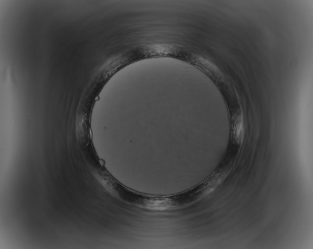 X0000083070410200703022201