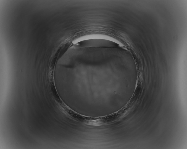 X0000083070411200703022201