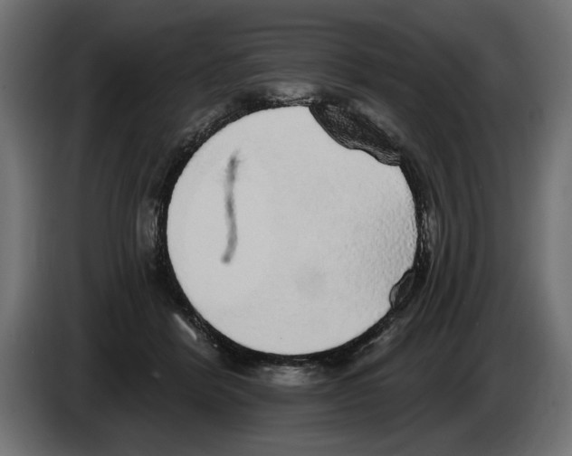 X0000083070412200703022201