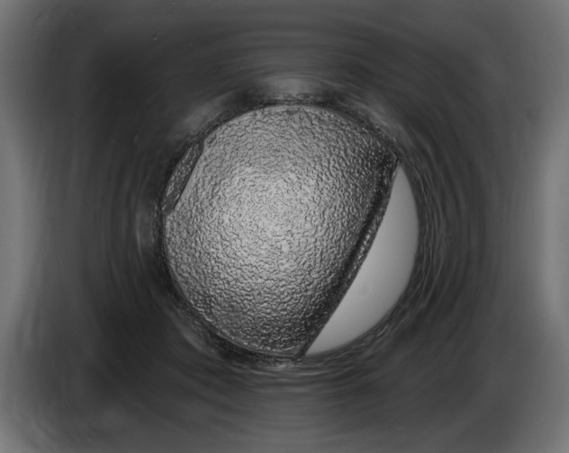 X0000083070413200703022201