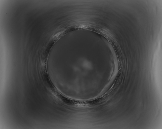 X0000083070415200703022201