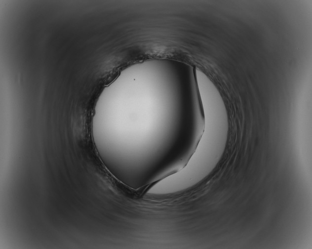 X0000083070416200703022201