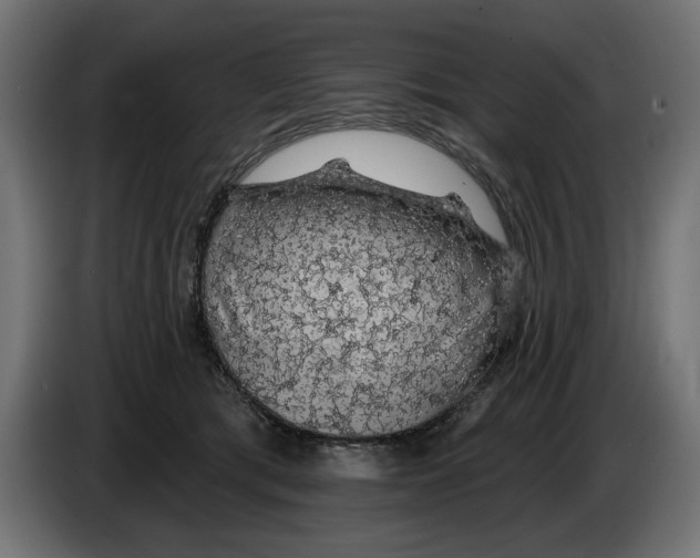 X0000083070417200703022201