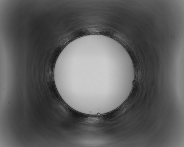 X0000083070418200703022201