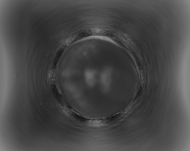 X0000083070419200703022201