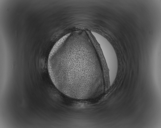 X0000083070420200703022201