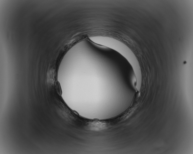 X0000083070421200703022201