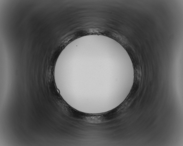 X0000083070422200703022201