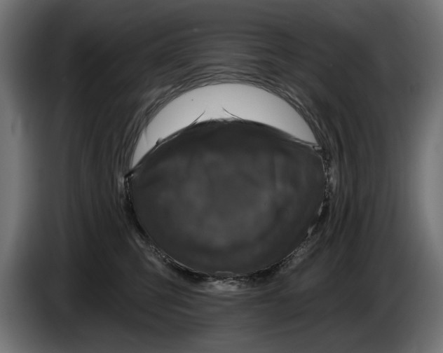 X0000083070423200703022201