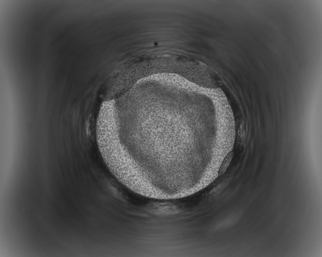 X0000083070424200703022201